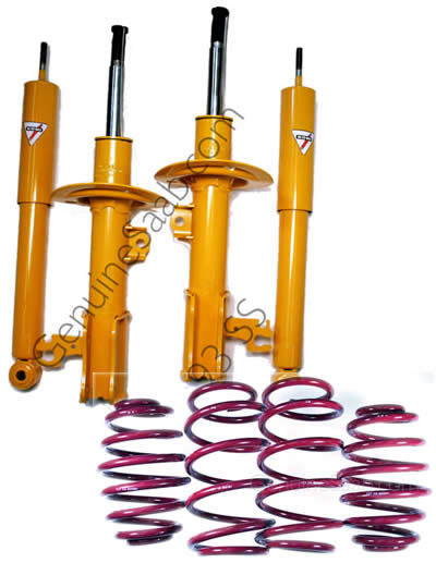 Sport Suspension 9-5 (Shocks/ Springs)